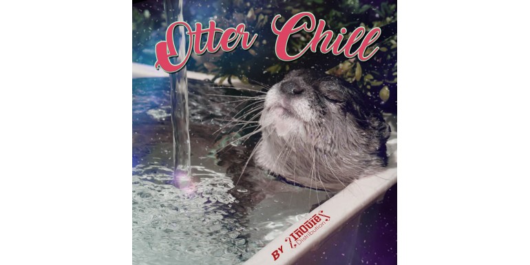 Détendez-vous, la playlist Otter Chill est là