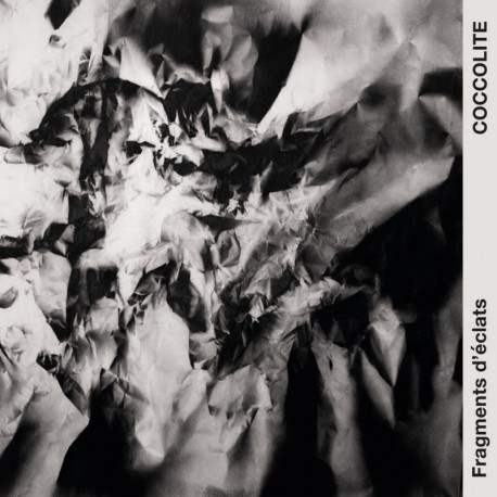 FRAGMENTS D'ÉCLATS - COCCOLITE