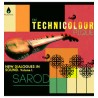 The technicolour pique : new dialogues in sound (& Anurag Shanker)