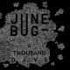 JUNE BUG - A THOUSAND DAYS