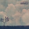 Faygo - Harvest