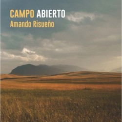 Amando Risueño - Campo abierto