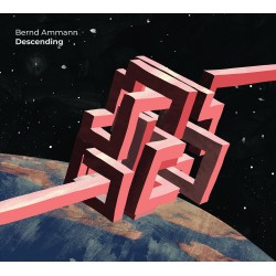 Bernd Amann - Descending