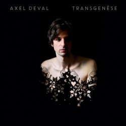 AXEL DEVAL - TRANSGENÈSE