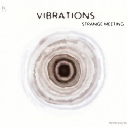 STRANGE MEETING - ENSEMBLE VIBRATIONS