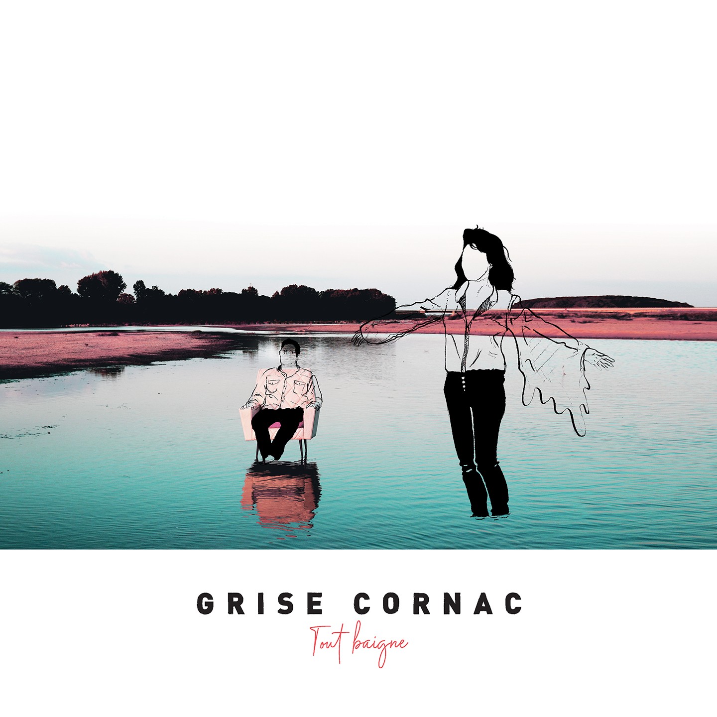 Résultat de recherche d'images pour "grise cornac tout baigne album"