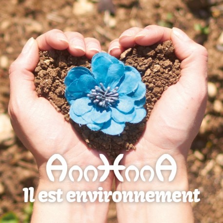 IL EST ENVIRONNEMENT - ANNHNNA