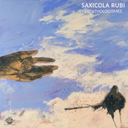 ORNITHOLOGISMES - SAXICOLA RUBI