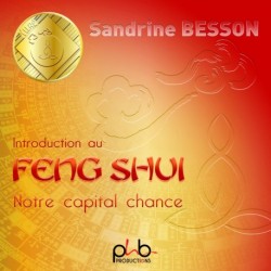 INTRODUCTION AU FENG SHUI NOTRE CAPITAL CHANCE - SANDRINE BESSON