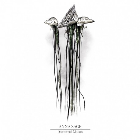 DOWNWARD MOTION - ANNA SAGE