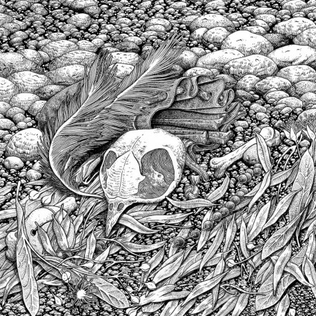 BONES - BOHNEURT