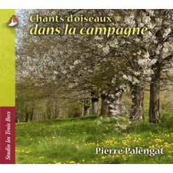 CHANTS D'OISEAUX DANS LA CAMPAGNE - PIERRE PALENGAT