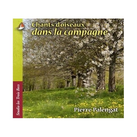 CHANTS D'OISEAUX DANS LA CAMPAGNE - PIERRE PALENGAT