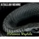 PATIENCE REPTILE - ATALLAH NEHME