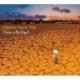 FLOWER IN THE DESERT - FABRICE TAREL TRIO