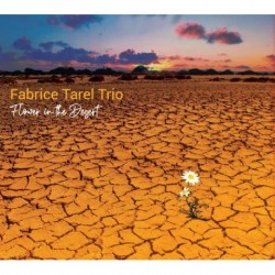 FLOWER IN THE DESERT - FABRICE TAREL TRIO