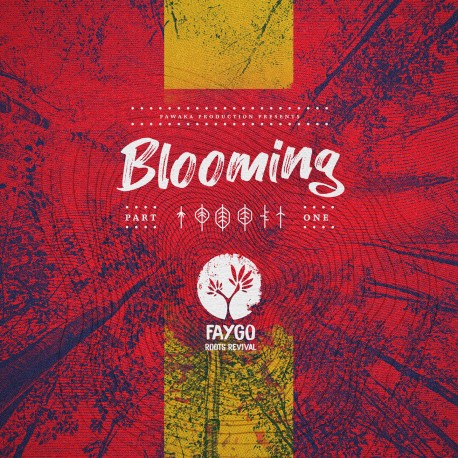 BLOOMING 1 - FAYGO