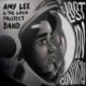 LOST IN CONFUSION - AMY LEE / THE LOCO PROJECT BAND