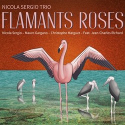 FLAMANTS ROSES - NICOLA SERGIO