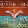 FLAMANTS ROSES - NICOLA SERGIO