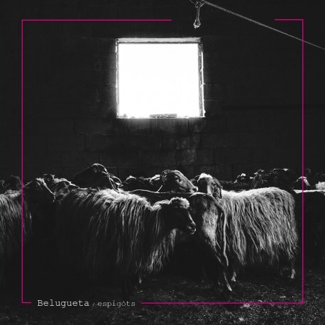 BELUGUETA - ESPIGÒTS - BELUGUETA