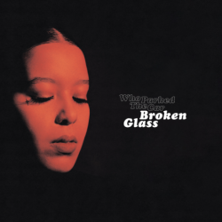 BROKEN GLASS - WHO PARKED THE CAR