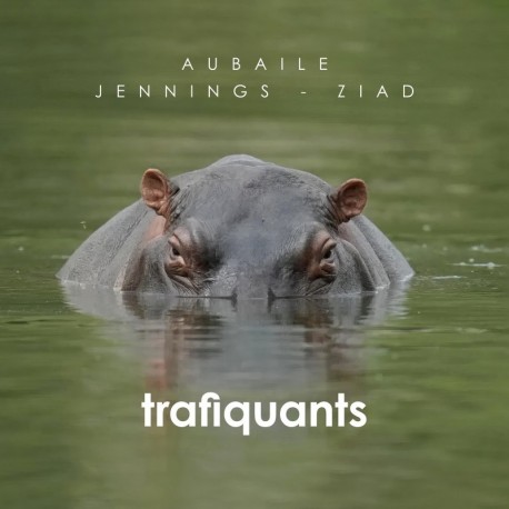 TRAFIQUANTS - DAVID AUBAILE