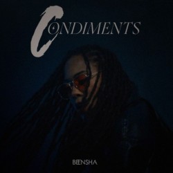 CONDIMENTS - BEENSHA