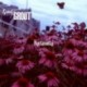 NYCTINASTY - GROUT/GROUT
