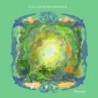 PROCESSION - STELLAR MUSIC ENSEMBLE