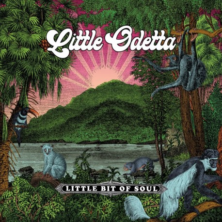 LITTLE BIT OF SOUL - LITTLE ODETTA
