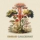 CAÏLCEDRAT - KOMASI