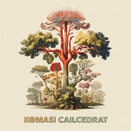 CAÏLCEDRAT - KOMASI