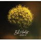 LE POIDS DE LE TERRE - BAL O GADJO