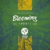 BLOOMING 3 - FAYGO
