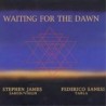 WAITING FOR THE DAWN - STEPHEN JAMES / FEDERICO SANESI