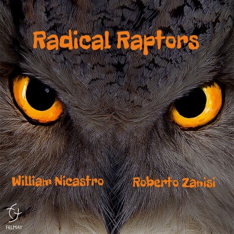 RADICAL RAPTORS - RADICAL RAPTORS