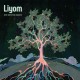 DIVE INTO THE HEIGHTS - LIYOM