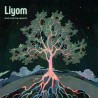 DIVE INTO THE HEIGHTS - LIYOM