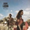 WILDFLOWERS - GRAND CAMINO