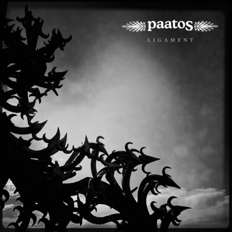 LIGAMENT - PAATOS