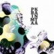 IN A PURPLE TIME - PRIMA KANTA