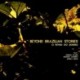 O RITMO DO SONHO - BEYOND BRAZILIAN STORIES