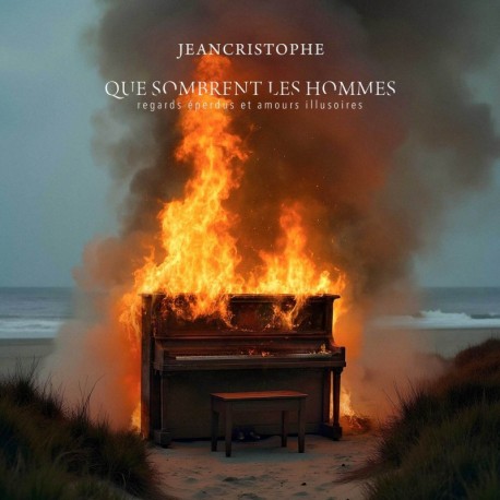 QUE SOMBRENT LES HOMMES (REGARDS ÉPERDUS ET AMOURS ILLUSOIRES) - JEANCRISTOPHE