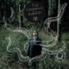 THE DANGEROUS BEAUTIES - FYRS