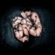 WATERY GRAVE - ATR!UM