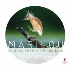 LE DOUX SILENCE DE NOS BOIS - ENSEMBLE MARILOU