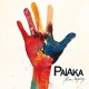 PAIAKA - Alive Anyway (Double Vinyle)