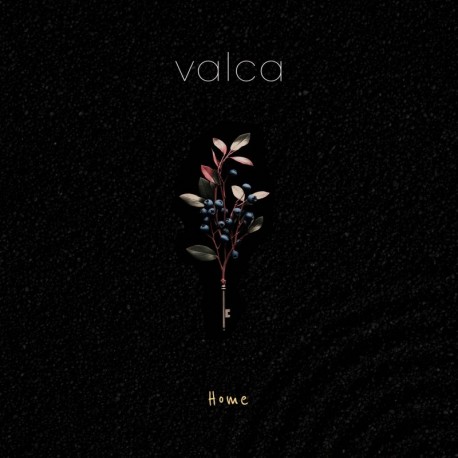 HOME - VALCA