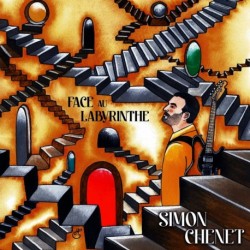 FACE AU LABYRINTHE - SIMON CHENET